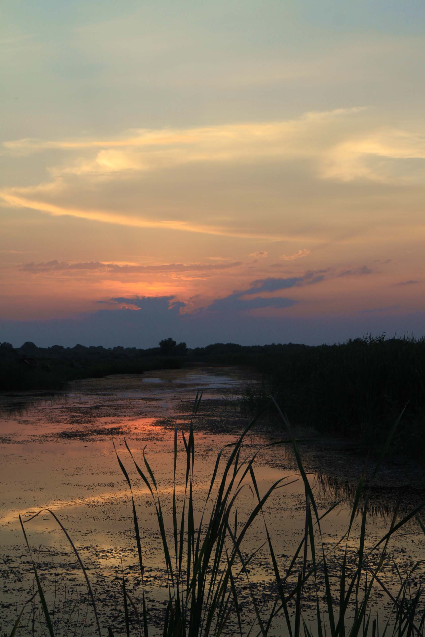 Sonnenuntergang im Delta