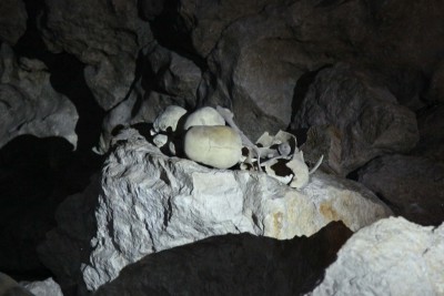 Schädel in Höhle